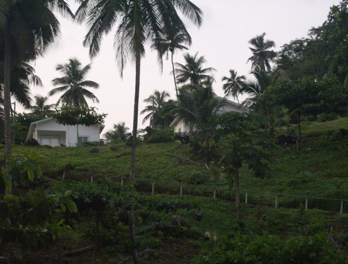 N'Guembu Nature Resort بورتو أليغري المظهر الخارجي الصورة