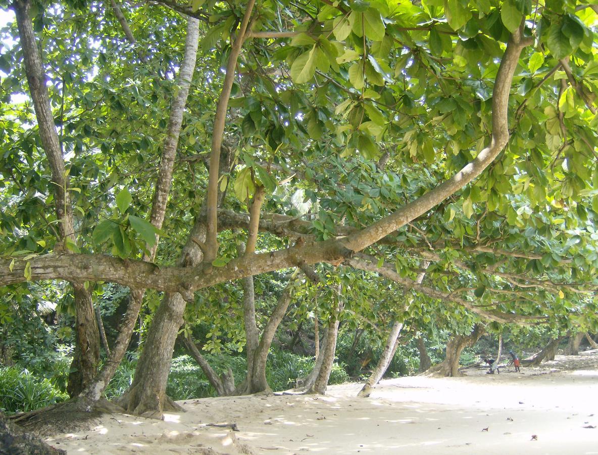 N'Guembu Nature Resort بورتو أليغري المظهر الخارجي الصورة